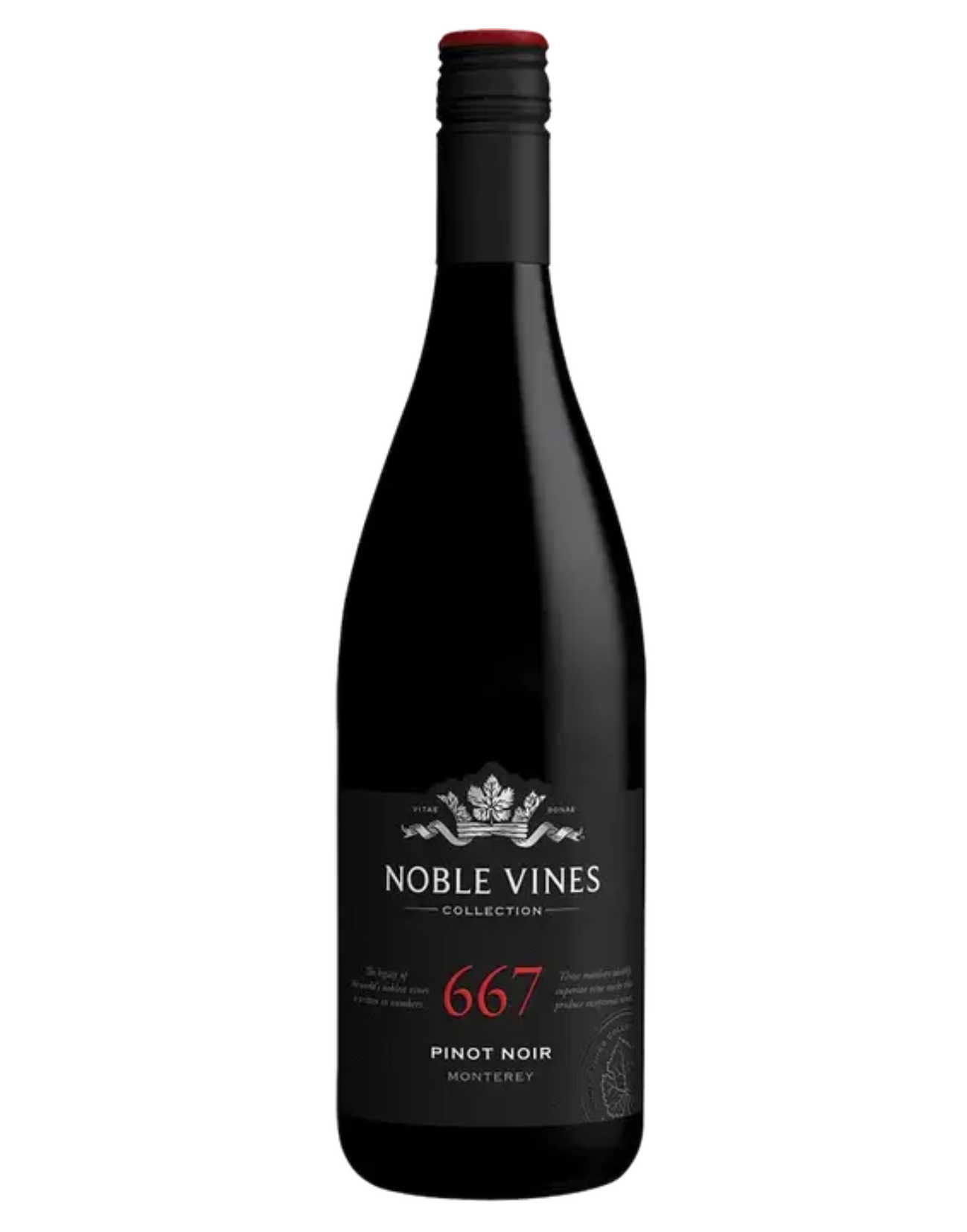 Noble Vines Pinot Noir image 0