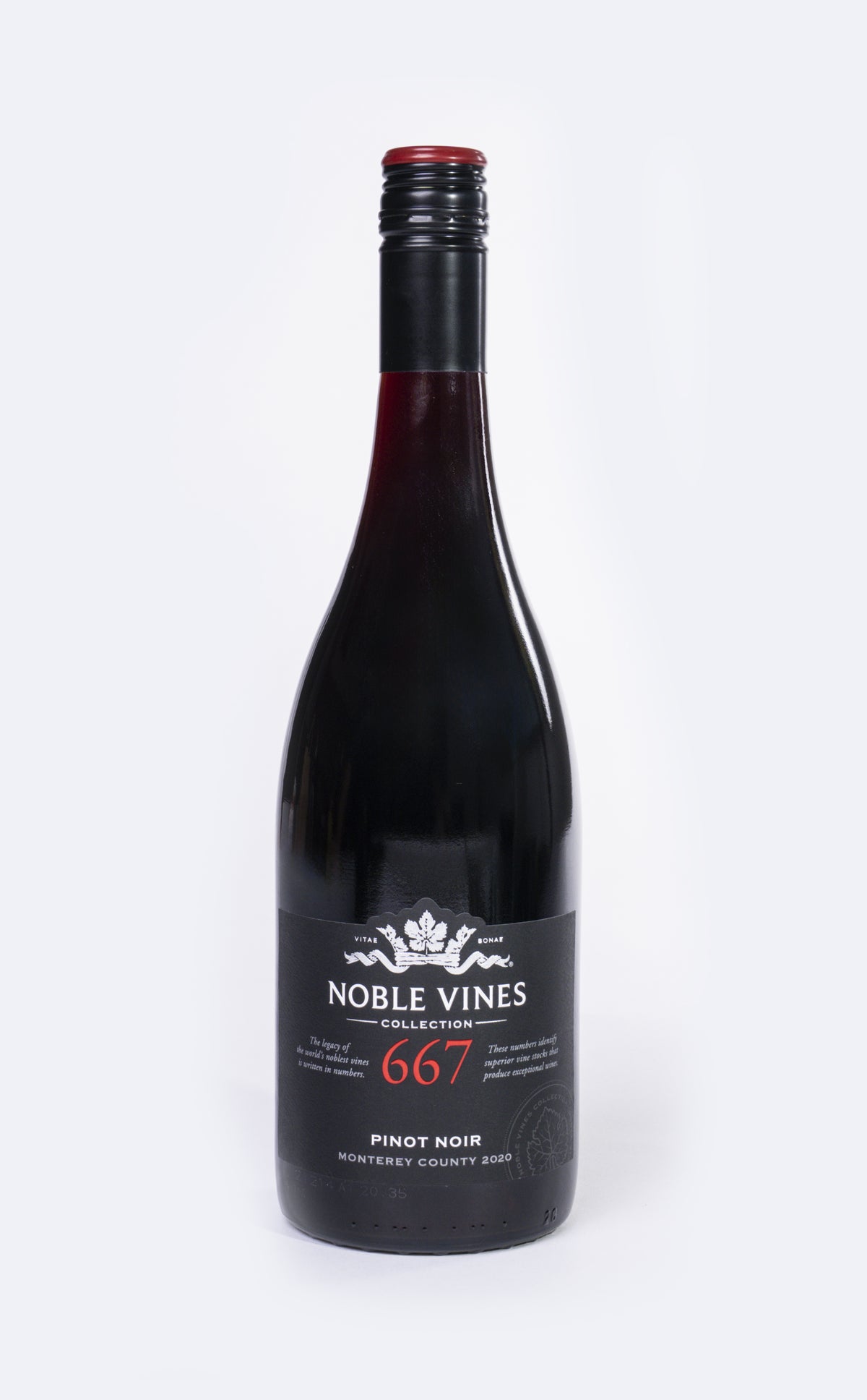 Noble Vines Pinot Noir 667