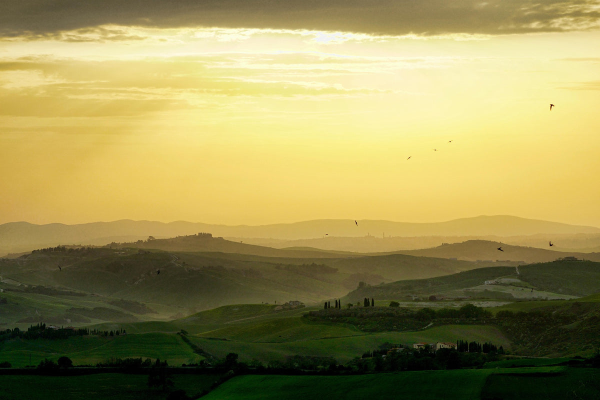Country